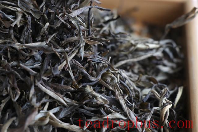 The Arrival of Spring: How to Drink Pu'er Tea Most Appropriately?-2