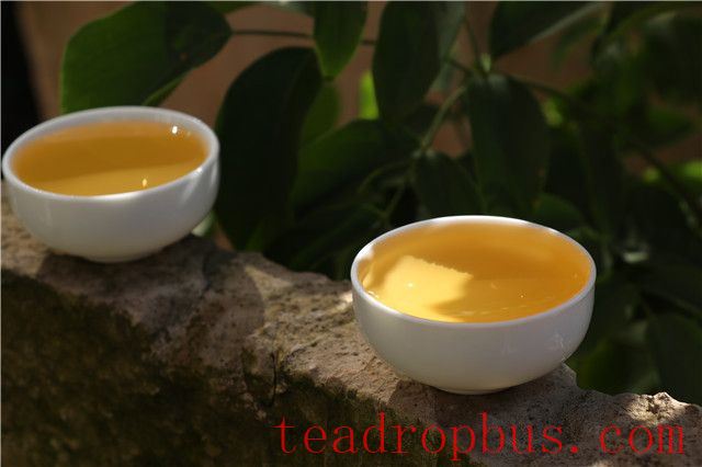 Selecting Pu'er Tea: What to Consider When Choosing Pu'er Tea (Part Two)-1