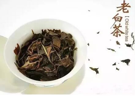 Finally Understand Why They All Love Aged White Tea-1-ChinaTeaGuru: Exploring Chinese Tea Culture and Kung Fu Tea - Tea Art, Tea Ceremony, Tea Knowledge Finally Understand Why They All Love Aged White Tea-1