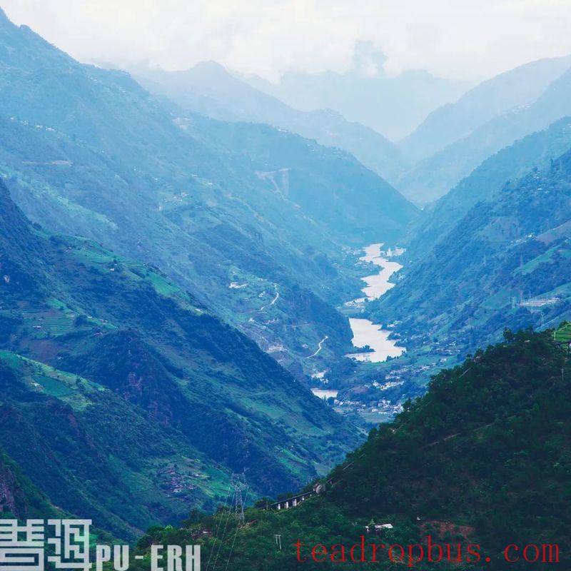 Origin Storage: Bringing More Yunnan Flavor to Pu'er Tea-5
