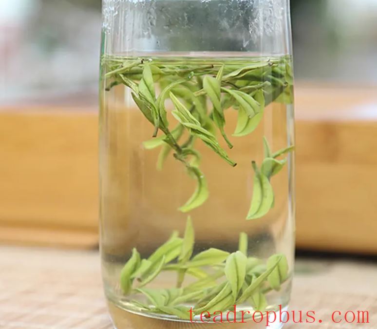 Storage Methods for Anji White Tea-3