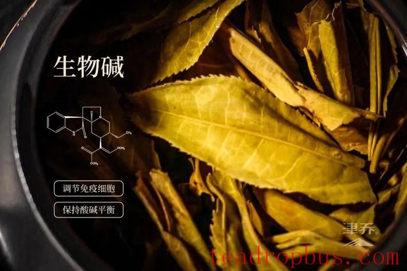 How Does Tea Affect the Body's 