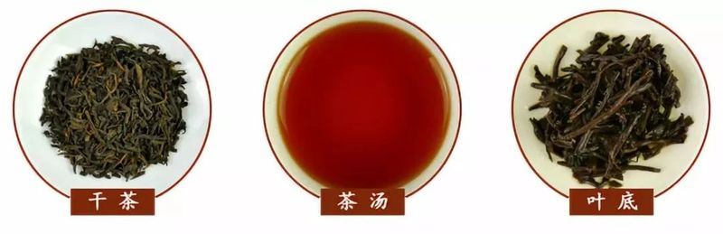 What are the standards for a good Liubao tea?-7