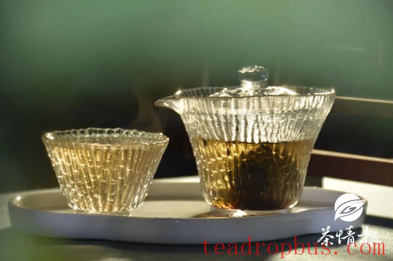 Dry Goods! As the Rainy Season Rages, How Should Pu'er Tea Be Stored in Different Regions?-4