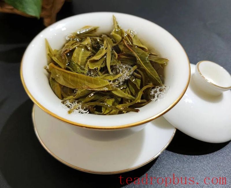 Lao Xu on Tea: New Pu'er Teas are Hitting the Market! How to Select a High-Quality Pu'er? Look at These Six Factors!-5