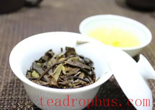 17 Professional Terms for the Aroma of White Tea—Master These and You'll Be an Expert-3