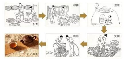 Sharing Black Tea Knowledge, Embracing the Way of Health!-1-ChinaTeaGuru: Exploring Chinese Tea Culture and Kung Fu Tea - Tea Art, Tea Ceremony, Tea Knowledge Sharing Black Tea Knowledge, Embracing the Way of Health!-1