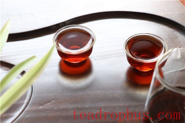 How to Buy Pu'er Tea for Beginners-1