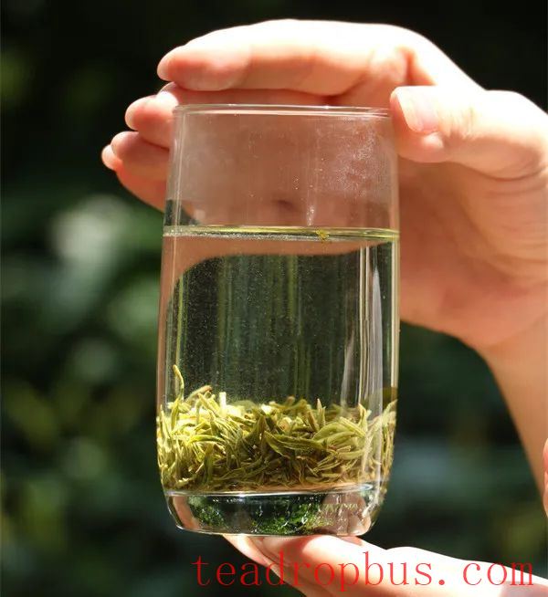 Dongting Biluochun: Pre-Equinox, Pre-Ming, or Pre-Grain Rain—Which Is Better and Which Should You Buy?-5