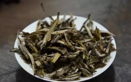 The Secret to Not Aging by Drinking White Tea, Revealed!-1-ChinaTeaGuru: Exploring Chinese Tea Culture and Kung Fu Tea - Tea Art, Tea Ceremony, Tea Knowledge The Secret to Not Aging by Drinking White Tea, Revealed!-1
