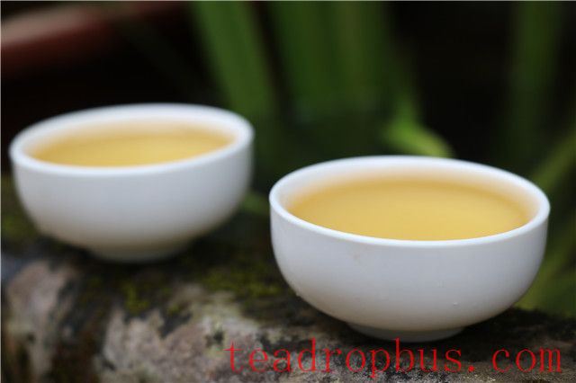 How Beginners Should Choose Pu'er Tea-3