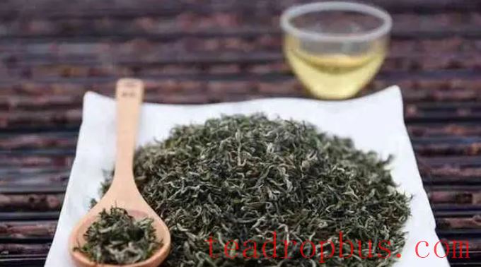 White Horse Maojian Tea: A Rare Delicacy Among Green Teas, Savoring the Fresh Aroma of Millennia-3