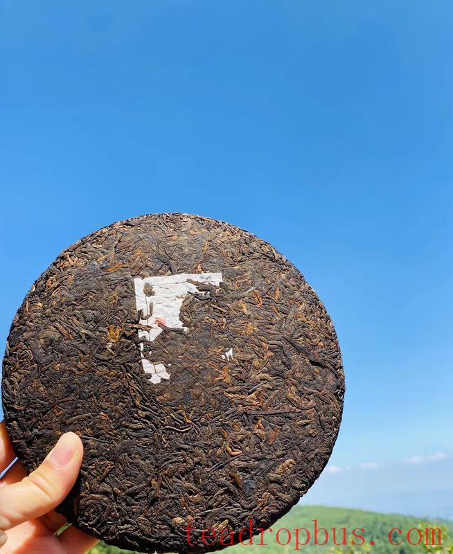 How to Handle Damp Tea Leaves-1