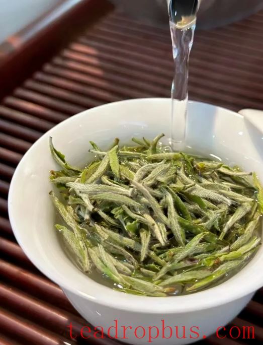 The Mystique of White Tea: A Comprehensive Exploration from History to Appreciation-3
