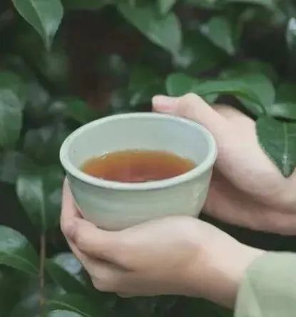Chronicle of Tea: Tea as Medicine-2