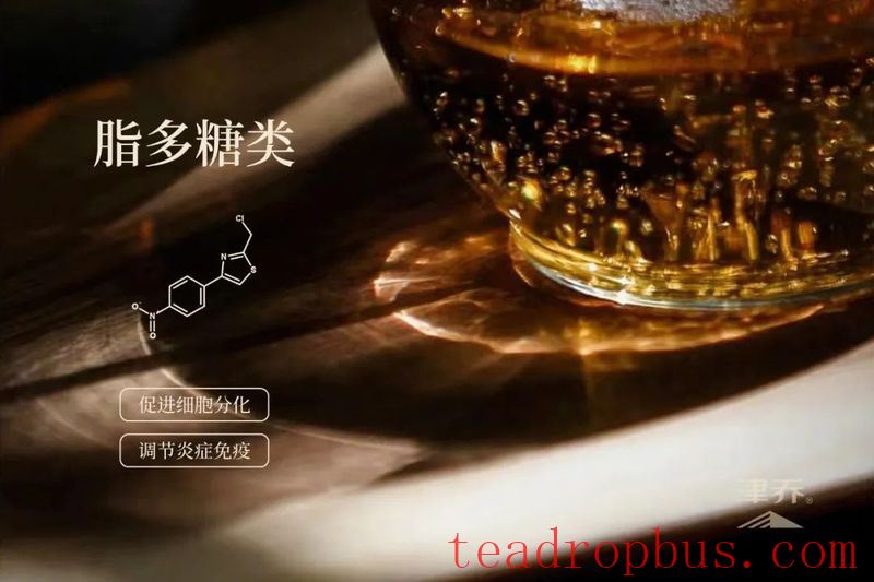 How Does Tea Affect the Body's 