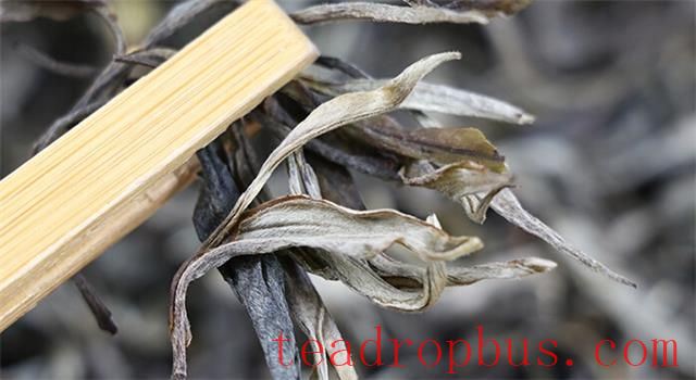 How to Select Spring Tea, Tips for Purchasing Spring Tea-3