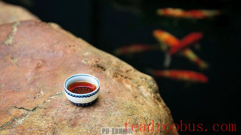 Reject These Five Types of Ripened Pu'er Tea!-1