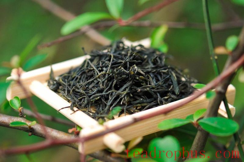 Can Tea Be Stored in the Fridge? 90% of Households Get This Wrong-3