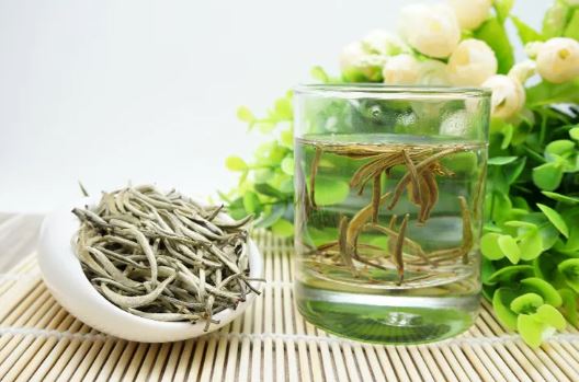 Tasting White Tea, Embracing the Rhythm of Nature-3