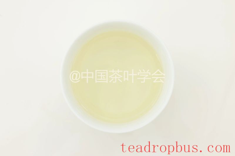 Weekly Tea Knowledge: I Know the Fresh Taste! Let's Talk About the Whitening and Yellowing of Tea Leaves ①-9