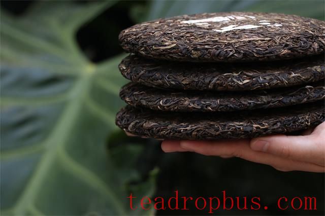 Does Pu'er Tea Become More Valuable as it Ages?-2