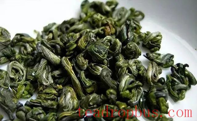 What is Xiuning Songluo Tea?-3