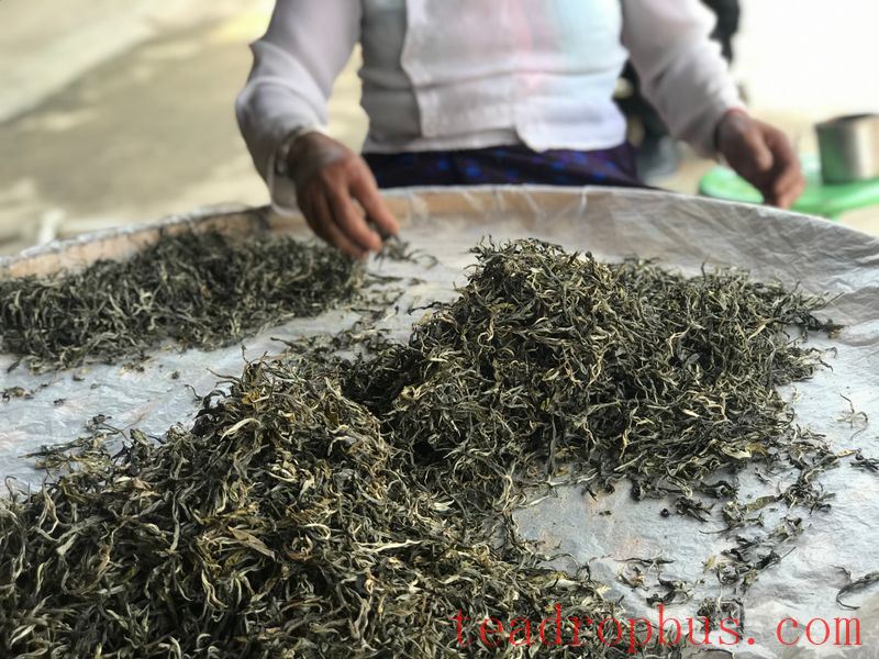 Puer Spring Tea Market Release-2