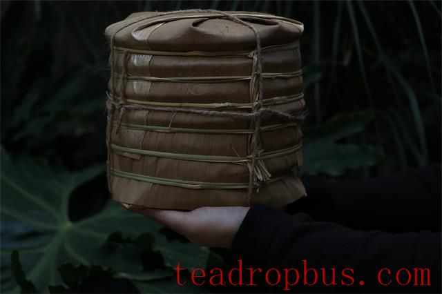 Why Should Pu'er Tea Be Stored in a Dry Warehouse?-2