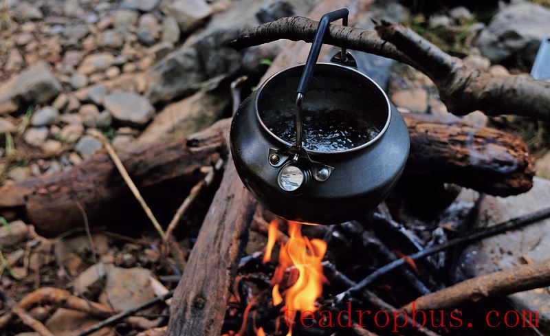 Puer Tea and Dark Teas: Similar Yet Different-3