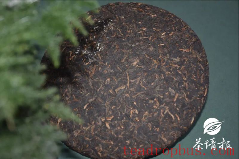 Tea Storage Tips: With Rainy and Humid Weather Here, How Are Your Teas Holding Up?-1