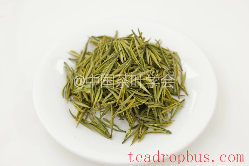 Weekly Tea Knowledge: I Know the Fresh Taste! Let's Talk About the Whitening and Yellowing of Tea Leaves ①-8