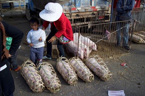 Pig at a market in Yunnan