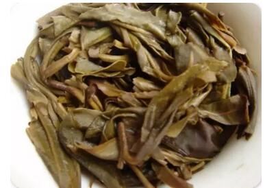 Ten Things About White Tea – How Many Do You Know?-6-ChinaTeaGuru: Exploring Chinese Tea Culture and Kung Fu Tea - Tea Art, Tea Ceremony, Tea Knowledge Ten Things About White Tea – How Many Do You Know?-6