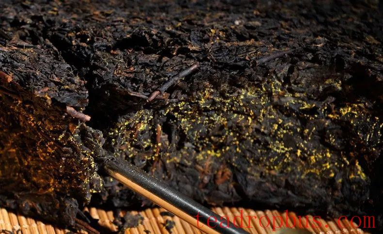 Black Tea Knowledge: Distinguishing Genuine from Fake Golden Flowers in Fu Brick Tea-4