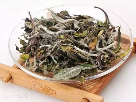 Ten Things About White Tea – How Many Do You Know?-1-ChinaTeaGuru: Exploring Chinese Tea Culture and Kung Fu Tea - Tea Art, Tea Ceremony, Tea Knowledge Ten Things About White Tea – How Many Do You Know?-1