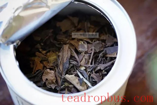 Storing Leftover Tea-3