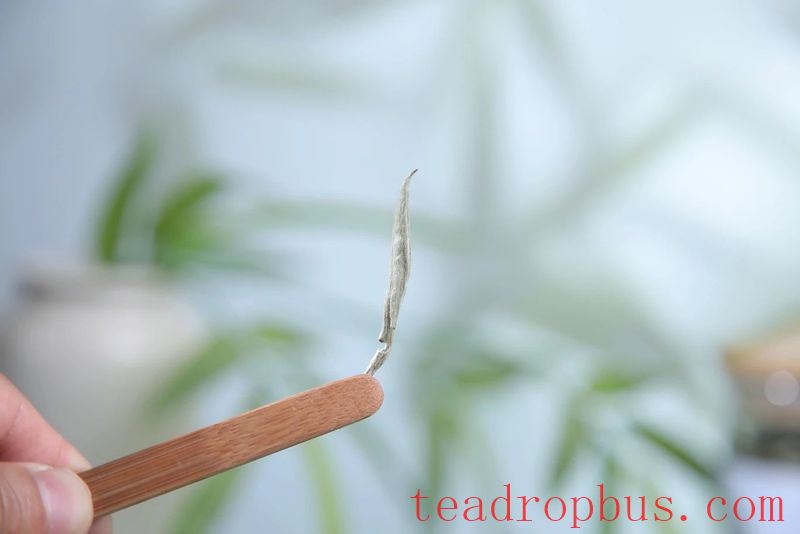 Does Turbid Tea Mean the Tea Isn't Clean?-2