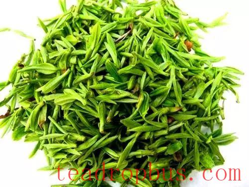 Introduction to Yellow Tea Varieties-6