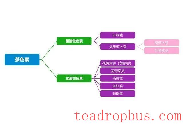 Deciphering the Soft Gold in Tea —— Tea Pigments-2