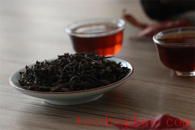 Professor Sheng Jun's Popular Science on Fermented Tea — The Magic Leaf: Companion of Life and Health-2