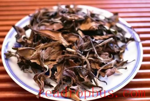 Differences Between Spring and Autumn Shoumei Tea, Fully Explained-2