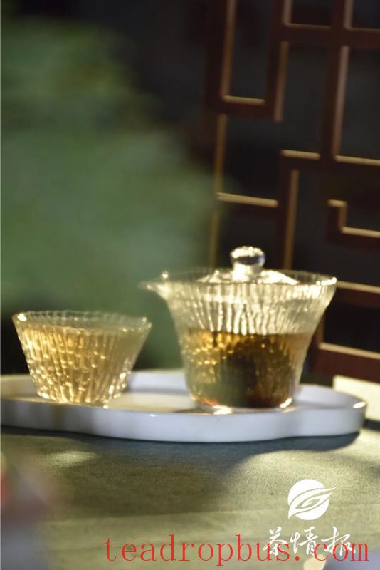 Dry Goods! As the Rainy Season Rages, How Should Pu'er Tea Be Stored in Different Regions?-2
