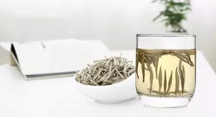 These People Can Benefit from Drinking More White Tea, Diseases Will Not Bother You Anymore-1
