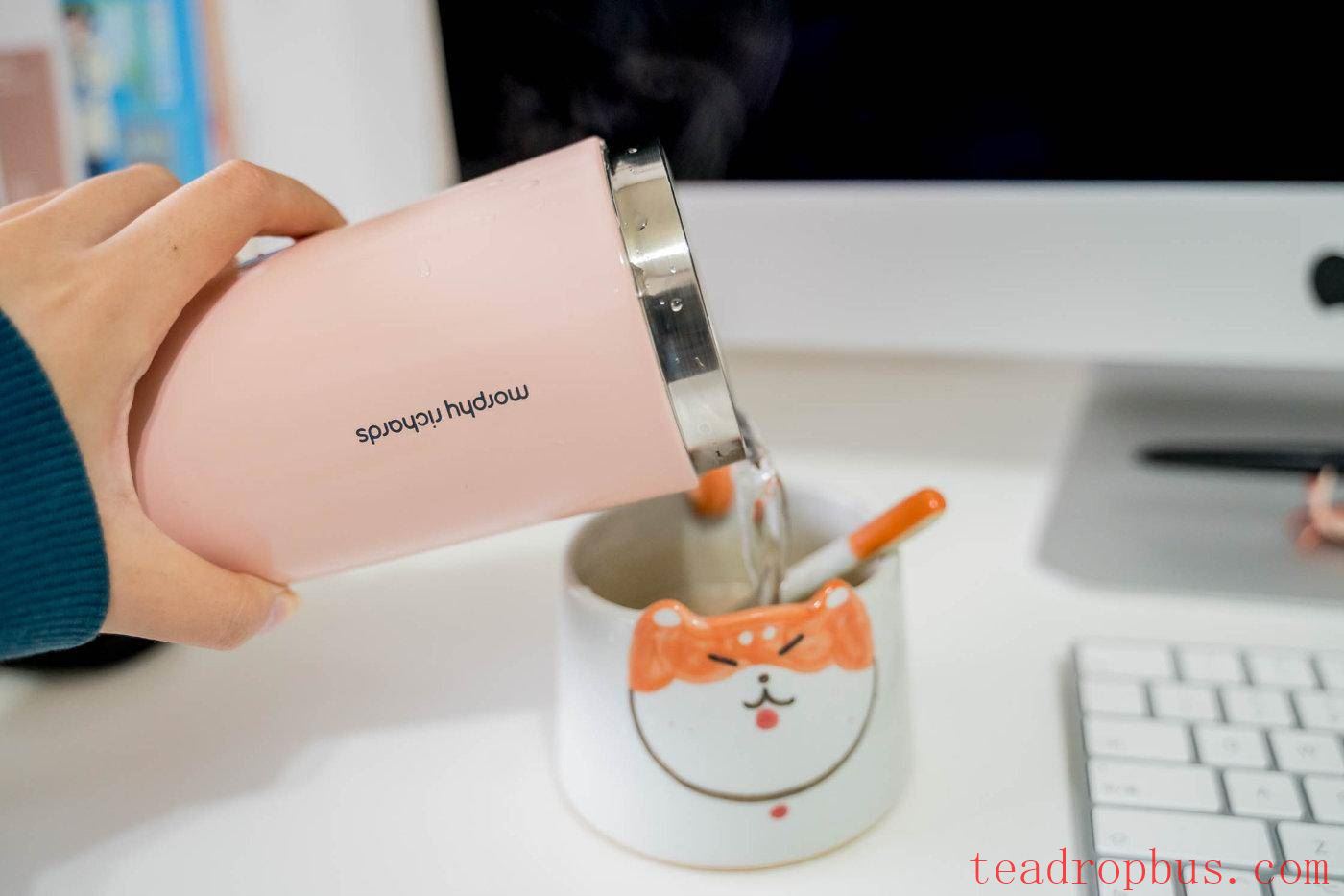 How to Choose the Right Tea-Infusing Thermal Mug for You?-3