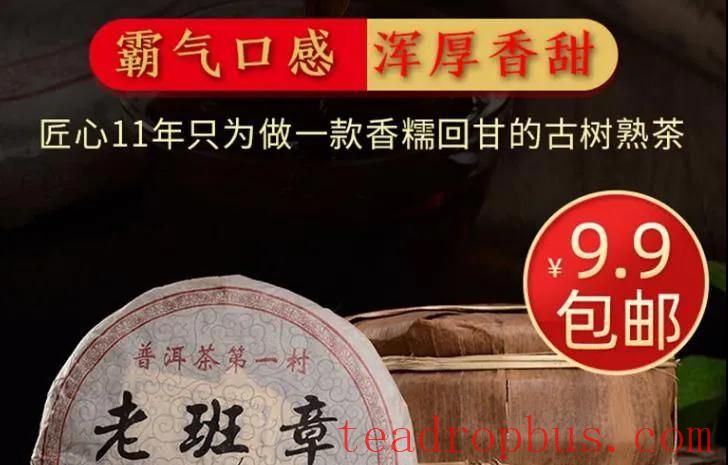 The Mystery of Nine-Yuan Pu'er Tea, How Can It Be So Cheap?-2