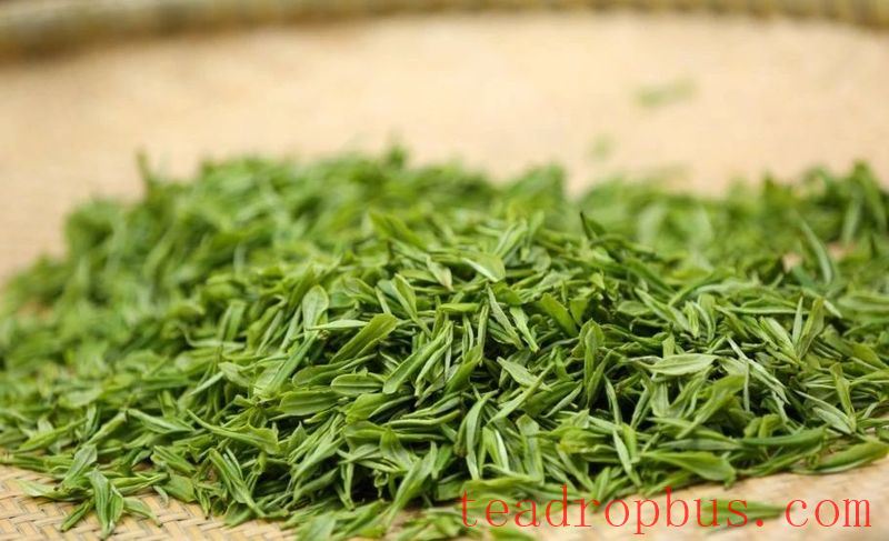Guzhang Maojian: A Rare Green Tea with Millennia of Fragrance-4