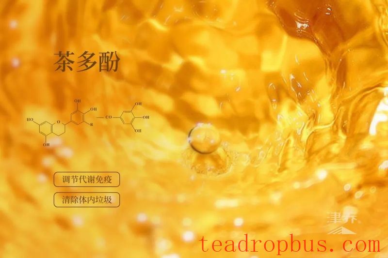 How Does Tea Affect the Body's 