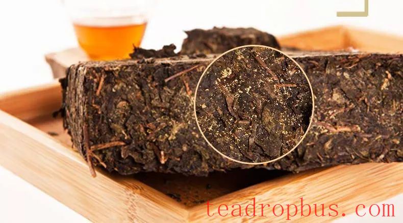 Storing Dark Tea in Spring: How to Avoid Moisture During Humid Season-1
