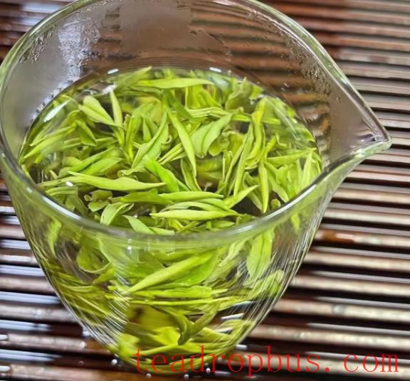The Benefits and Effects of Tea Water-2